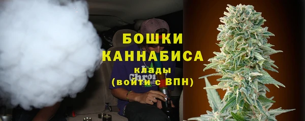 прущие грибы Абдулино